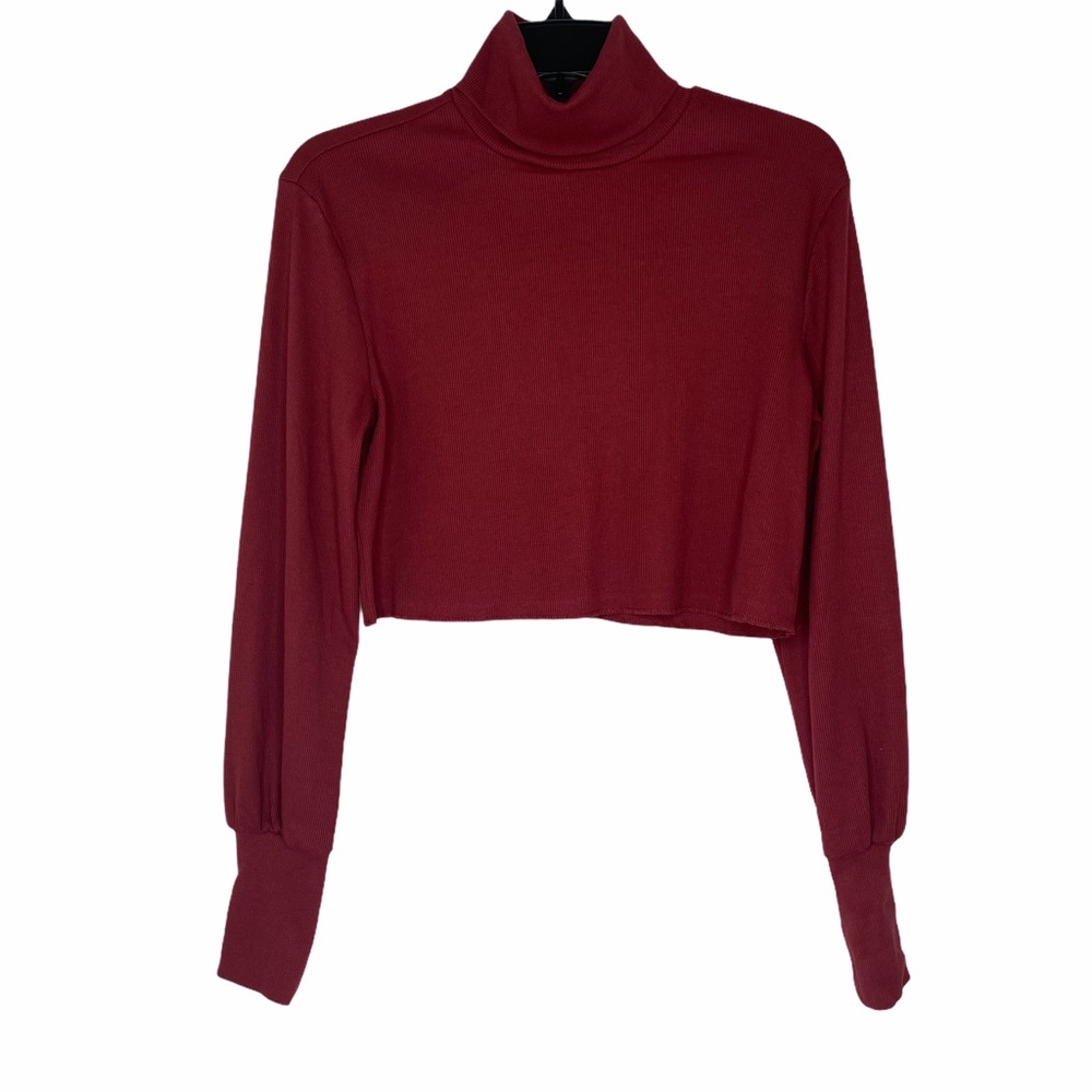 Forever 21 Turtleneck Burgundy Crop Top